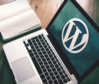 Создание сайта на CMS WordPress 